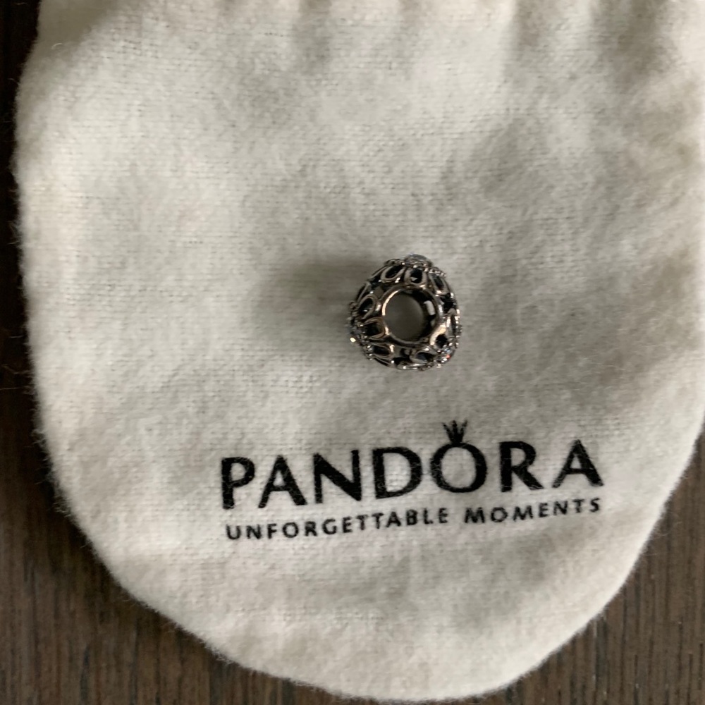 NWOT- Pandora Charm - Picture 4 of 4